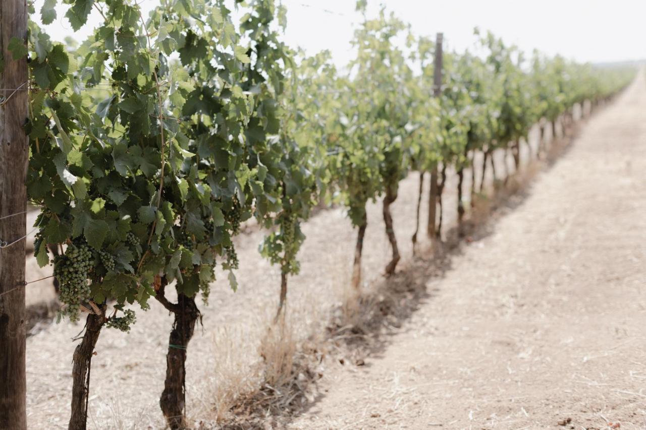 Masseria Cuturi Manduria Zewnętrze zdjęcie